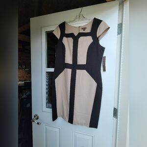 Elegant Voir Black and Tan Color Blocking Dress